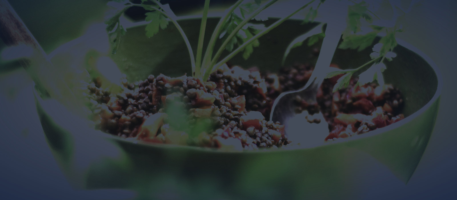Đĩa salad đậu lăng, một nguồn protein thực vật quen thuộc của người tập gym