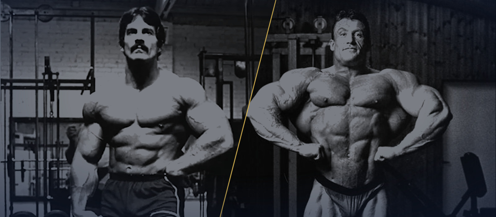 Mike Mentzer và Dorian Yates thời đỉnh cao, ghép đôi trong một khung hình