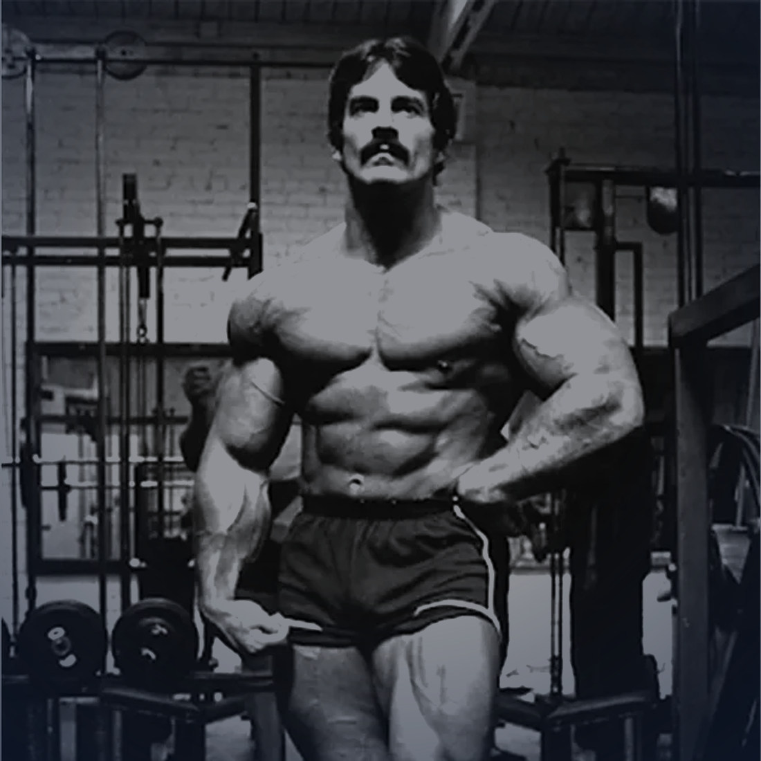 Mike Mentzer thời thi đấu, người xây dựng phương pháp Heavy Duty
